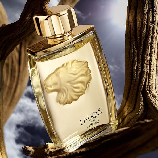 Lalique Pour Homme